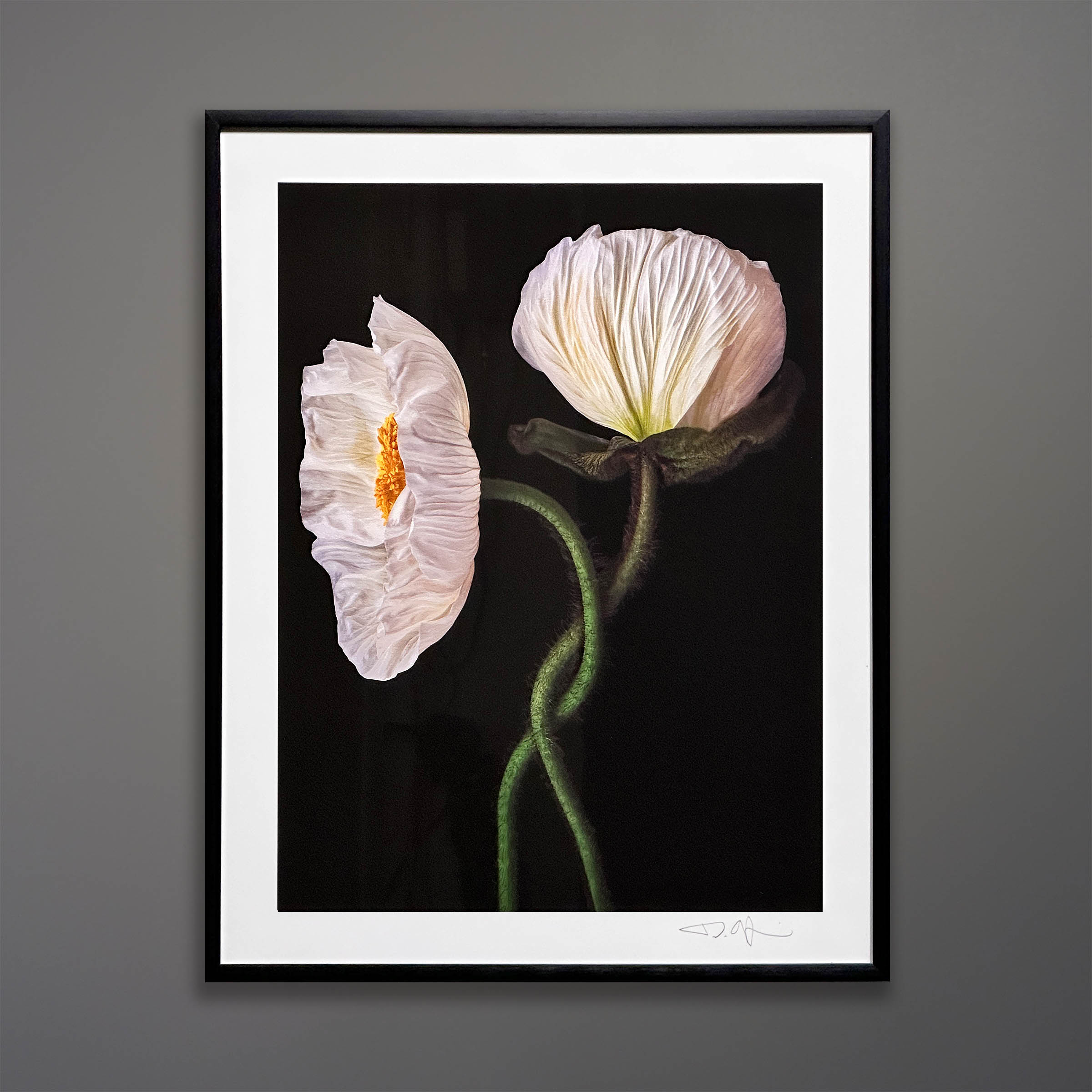 24-099-Debi-Shapiro-Flower-Portrait.jpg