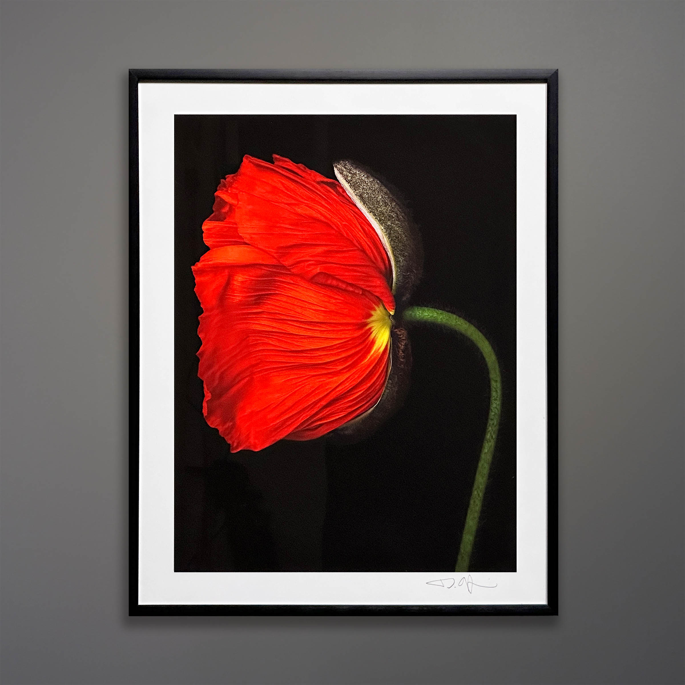 24-100-Debi-Shapiro-Flower-Portrait.jpg