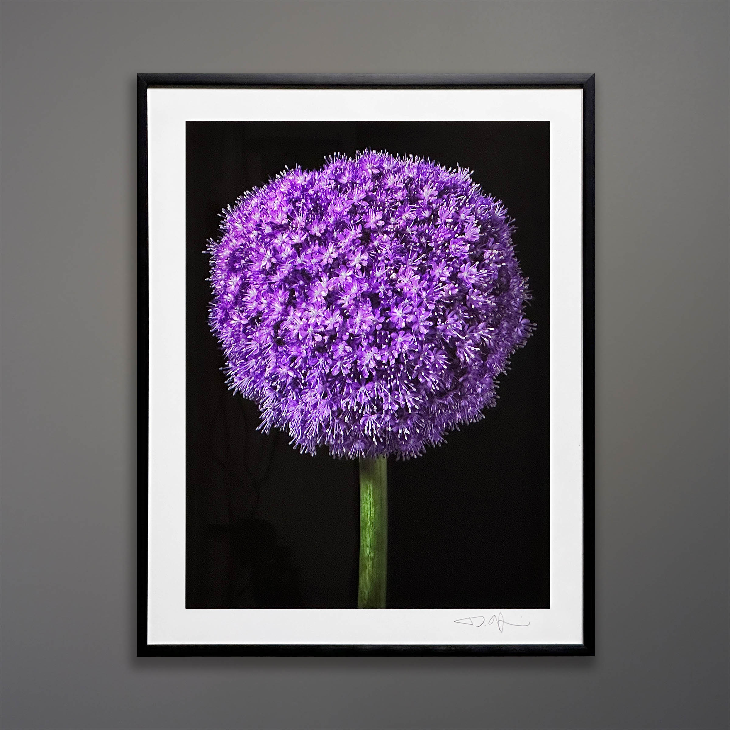 24-101-Debi-Shapiro-Flower-Portrait.jpg